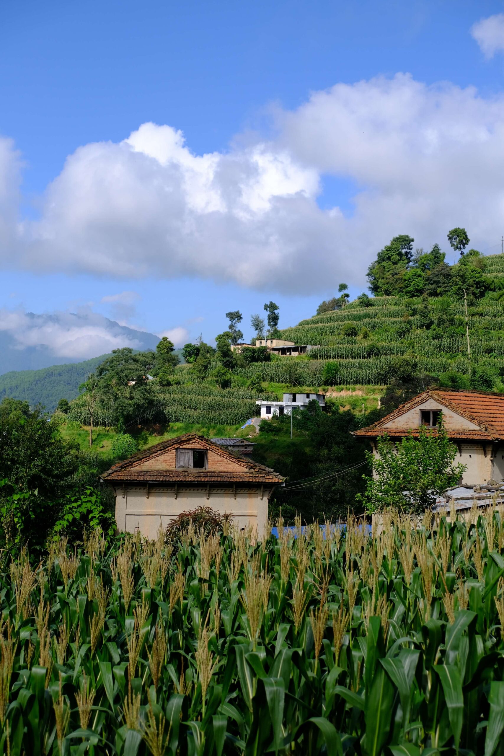 Viaggio in Nepal estate natura