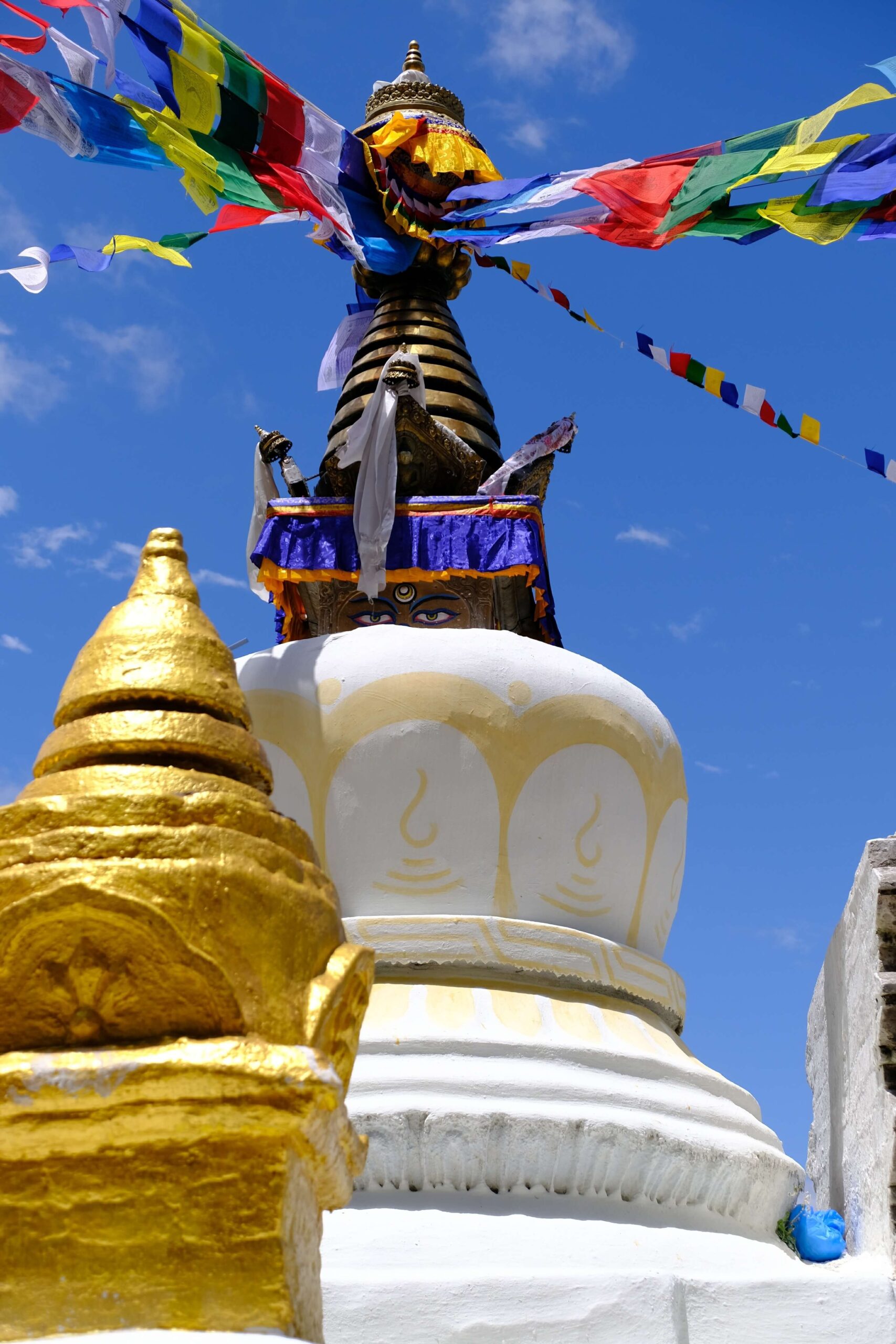 Viaggio in Nepal estate stupa