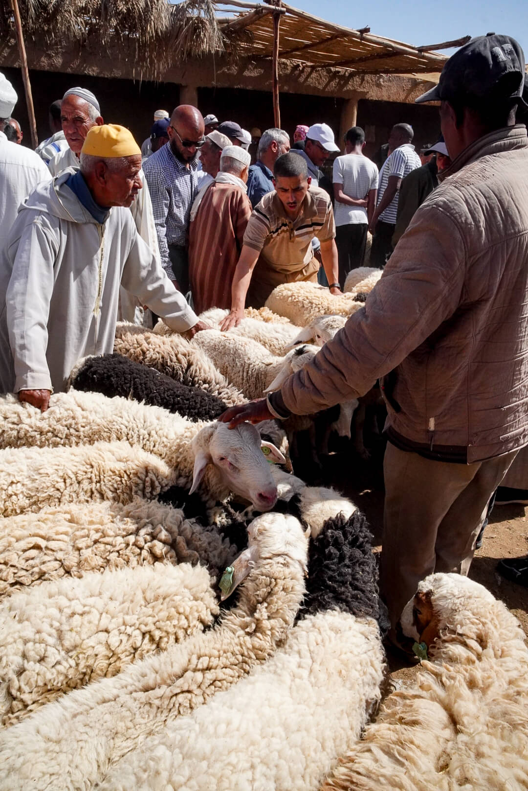 Viaggio di gruppo in Marocco mercati