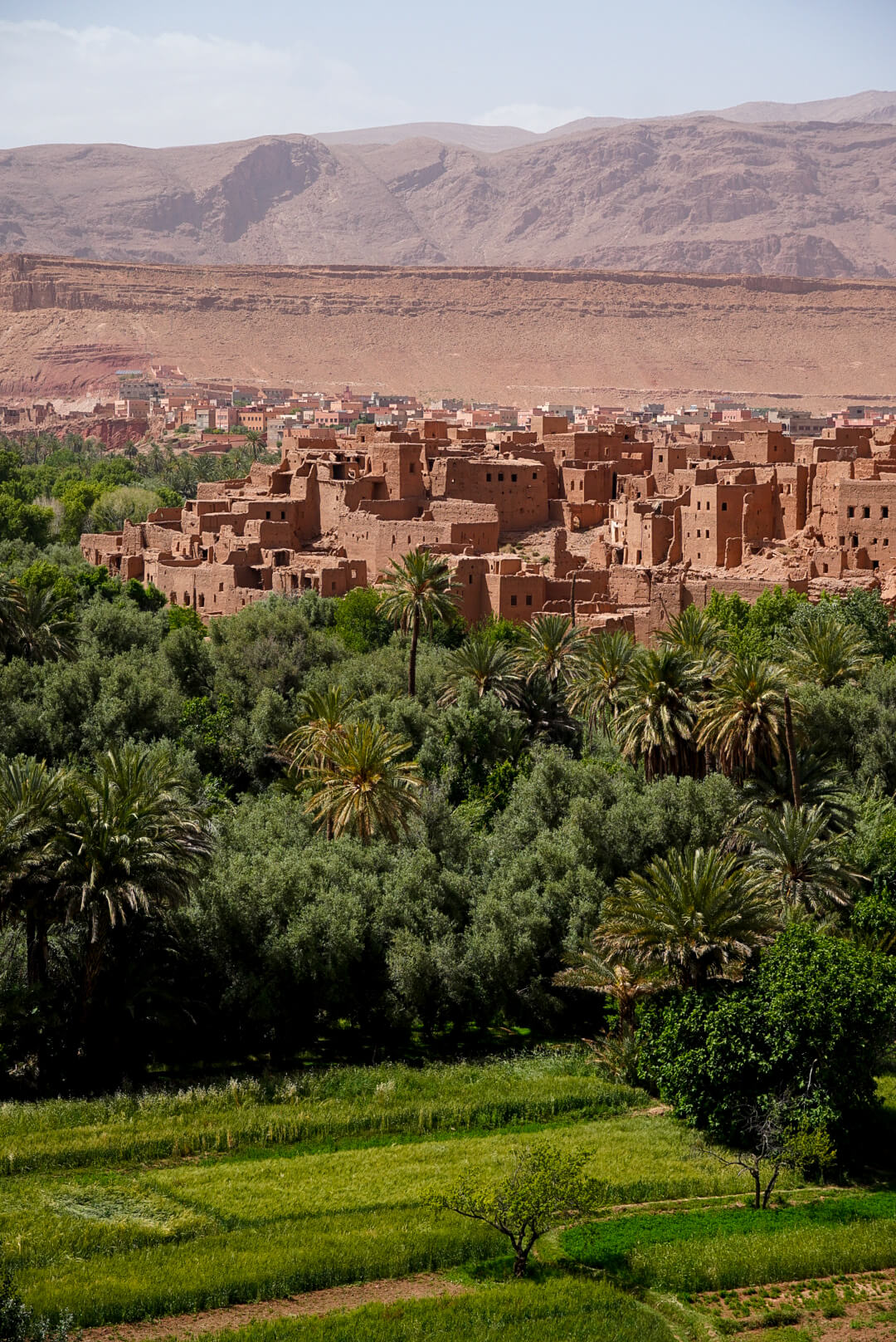 Viaggio di gruppo in marocco palmeti